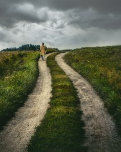 path-6567149_640